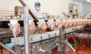 employee processing raw chicken in facility with industrial ventilation systems